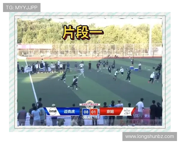 武汉飞盘队与北京飞盘队赛后战术分析与总结探讨
